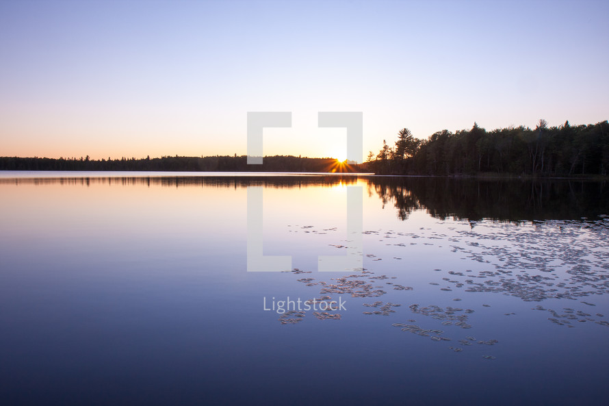 Colorful lake sunset landscape with tree reflection on water and lily pads and lens flare starburst 
