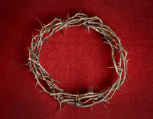 crown of thorns against a red background 