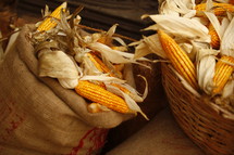 corn husks in a burlap sack