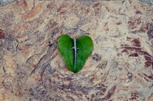 nature, heart, cross