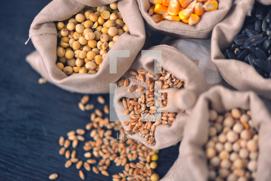 various grains and cereals on wooden table, top view, copy space