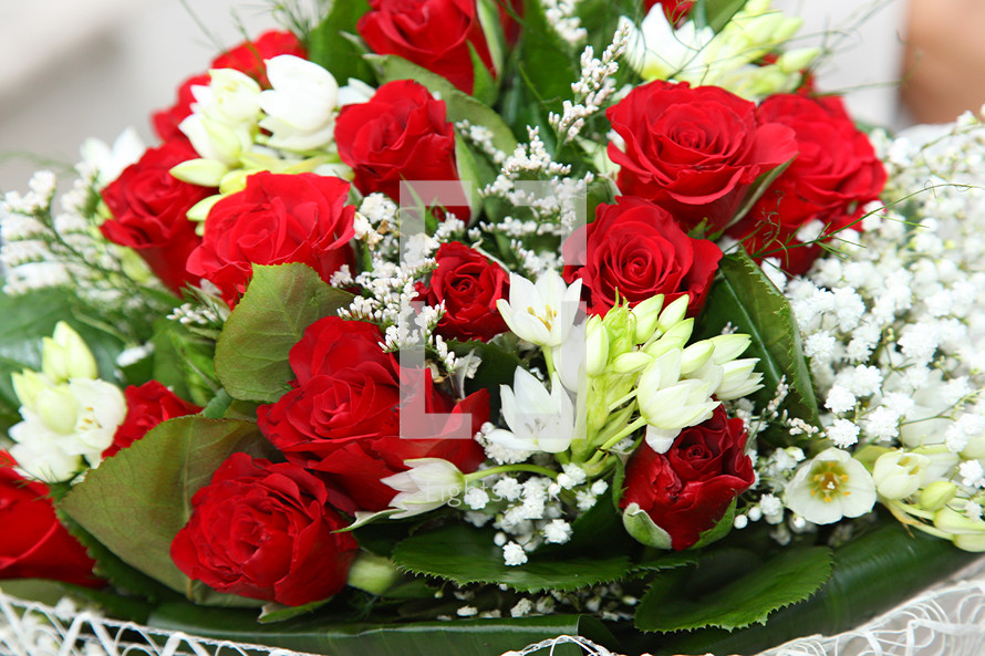 bouquet of red and white flowers 