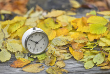 alarm clock on fall leaves 