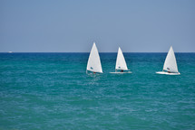 sailboats on a sea 