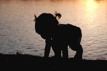 child sitting by a pond at sunset 