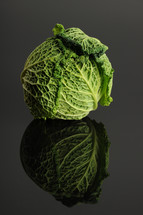 lettuce head 