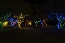 Trees decorated with Christmas lights at night