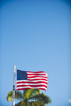 American flag and palm tree against a blue sky 