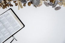 pine cone border and opened Bible 