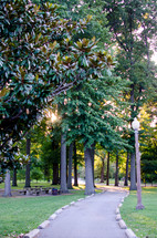 path through a park under a magnolia tree 