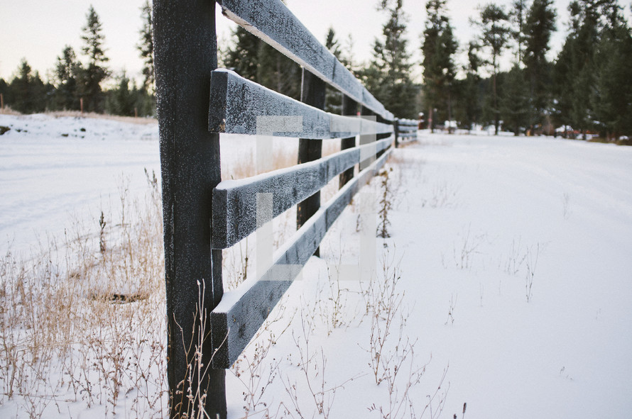 fence line dusted in snow