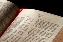 Open BIble in the book of Job
