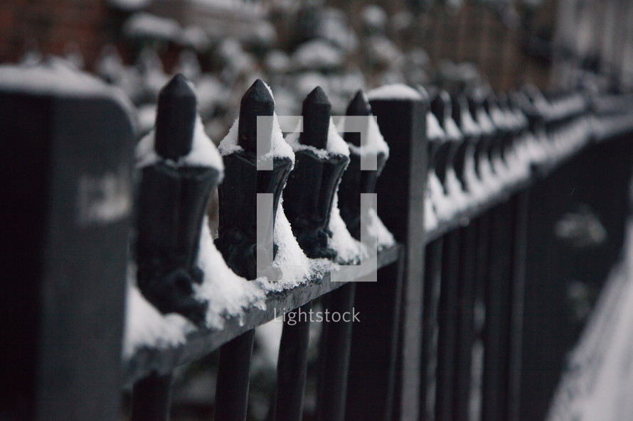 snow on a wrought iron fence 