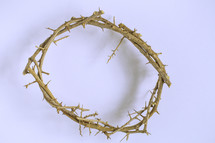 crown of thorns on white 