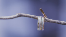 wedding rings on a branch 