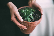 woman holding a potted succulent plant 