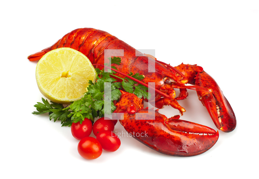 Red lobster with lemon and parsley on white background