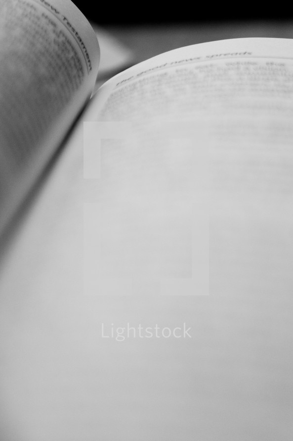 pages of a Bible