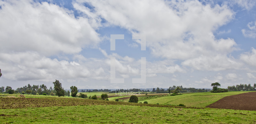 Farm land below billowing clouds 