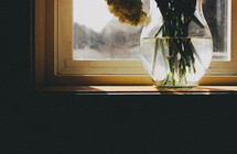 Sun shining on a vase of flowers on a windowsill.