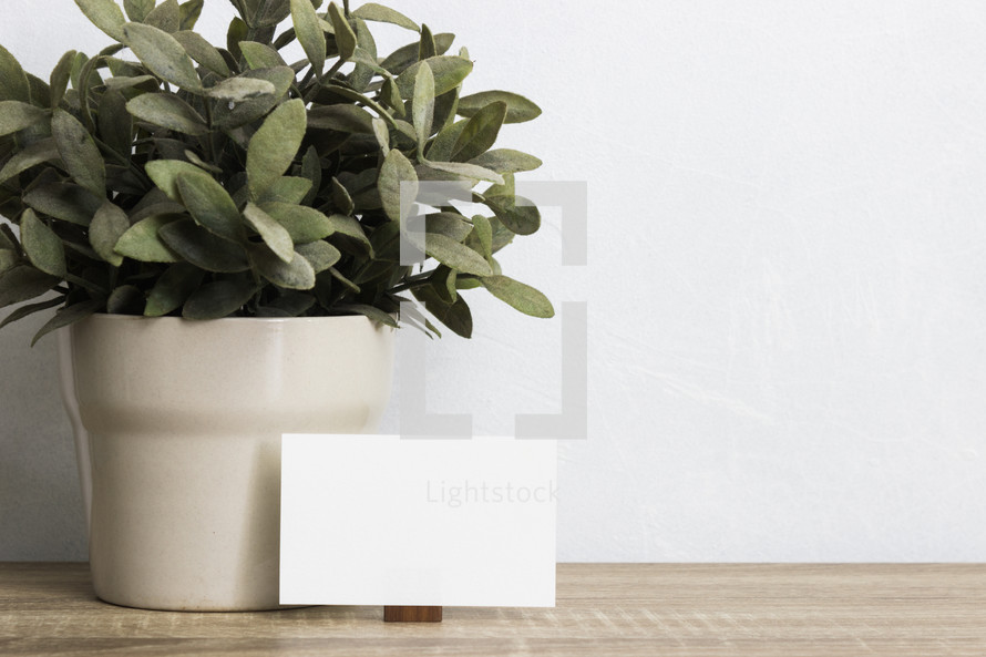 houseplant and blank sign 