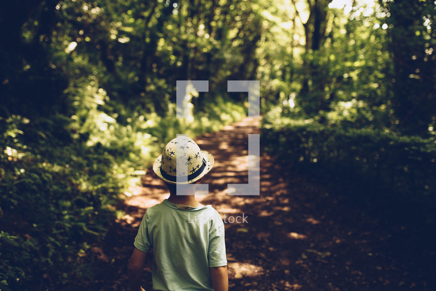 a kid walking on a path in a forest 