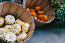 white and orange mini pumpkins in baskets 