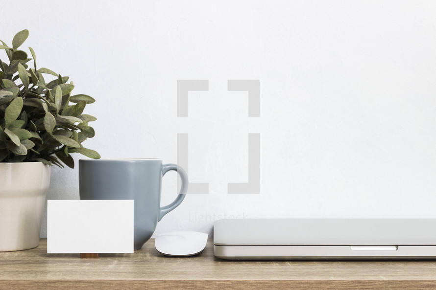 houseplant, mug, blank sign, and laptop computer 