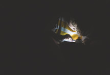 glowing face of a boy child playing video games in the darkness 