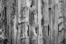 wood fence boards background 