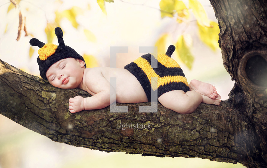 New born baby girl dressed as a bee on a branch of a tree