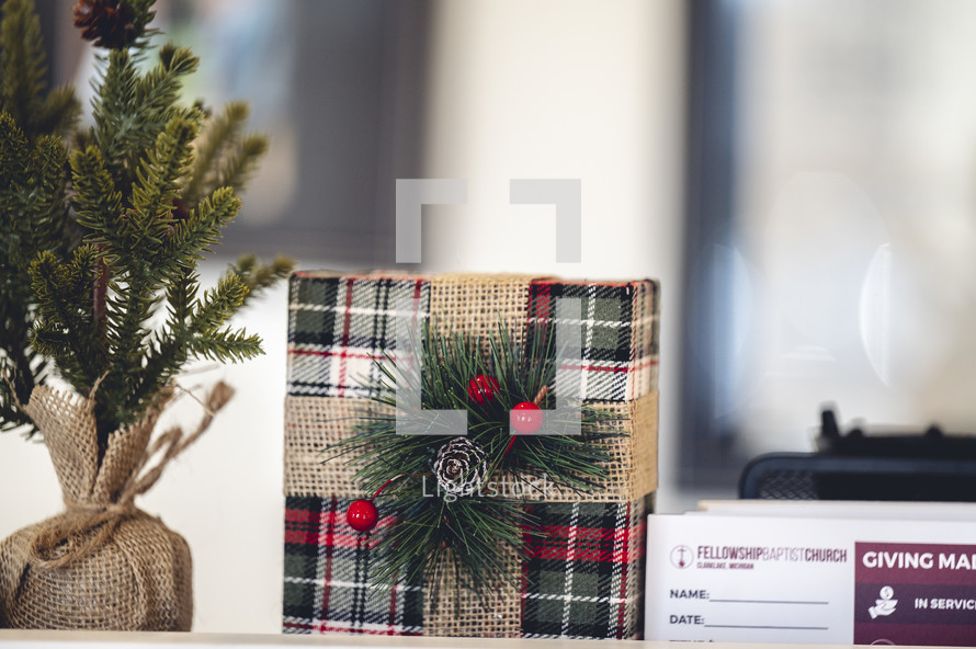 Plaid wrapped gift next to small tree