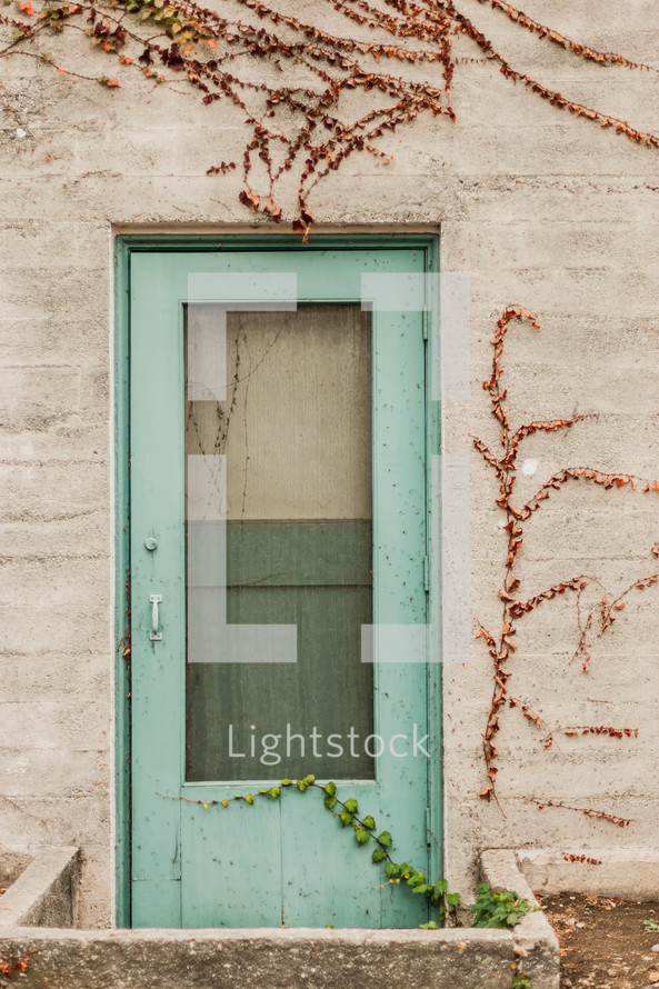 screen door green cement wall