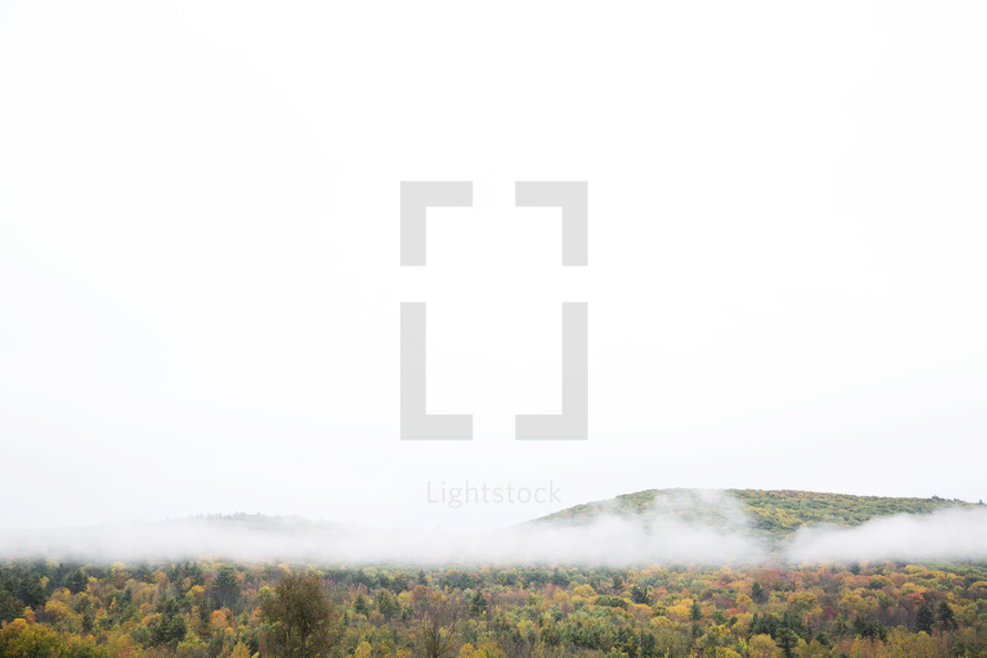clouds and fog over a mountain forest 