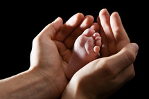 Loving hands gently embracing infant foot, black background