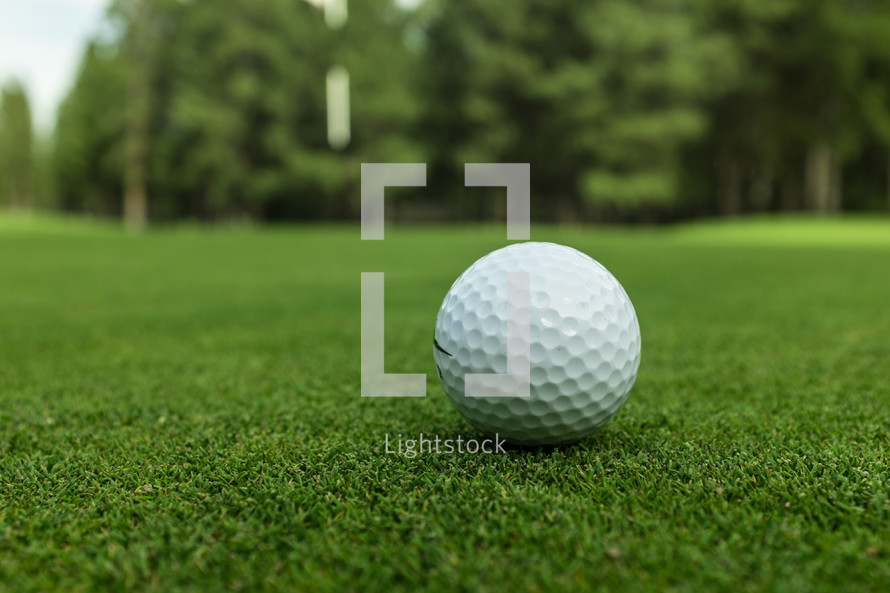 golf ball on a putting green 