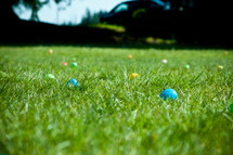 plastic Easter eggs hidden in the grass