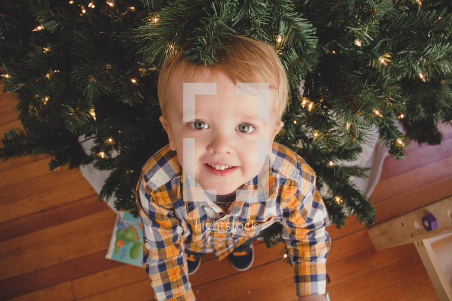 toddler boy under a Christmas tree 