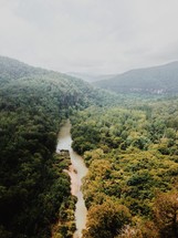 river through a mountain forest 