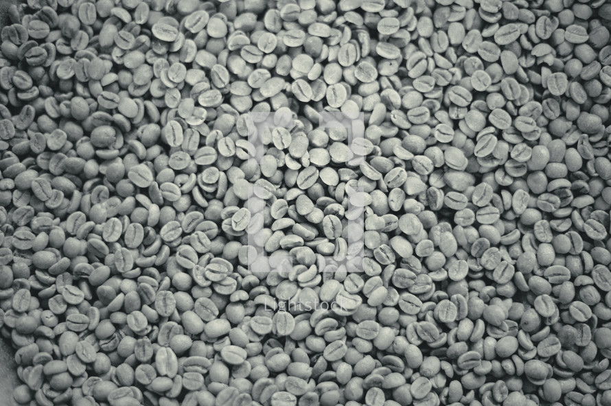closeup of green coffee beans 