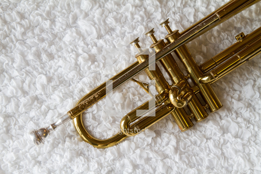 trumpet on a rug