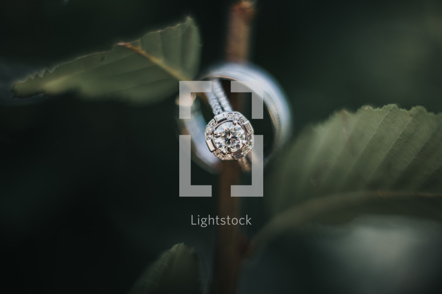 wedding rings on a branch 