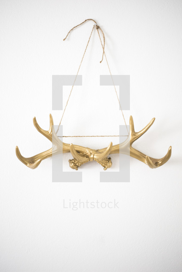 hanging golden antlers 