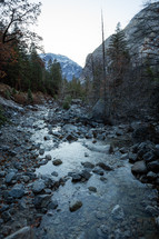 Rocky stream with trees and snowy mountains