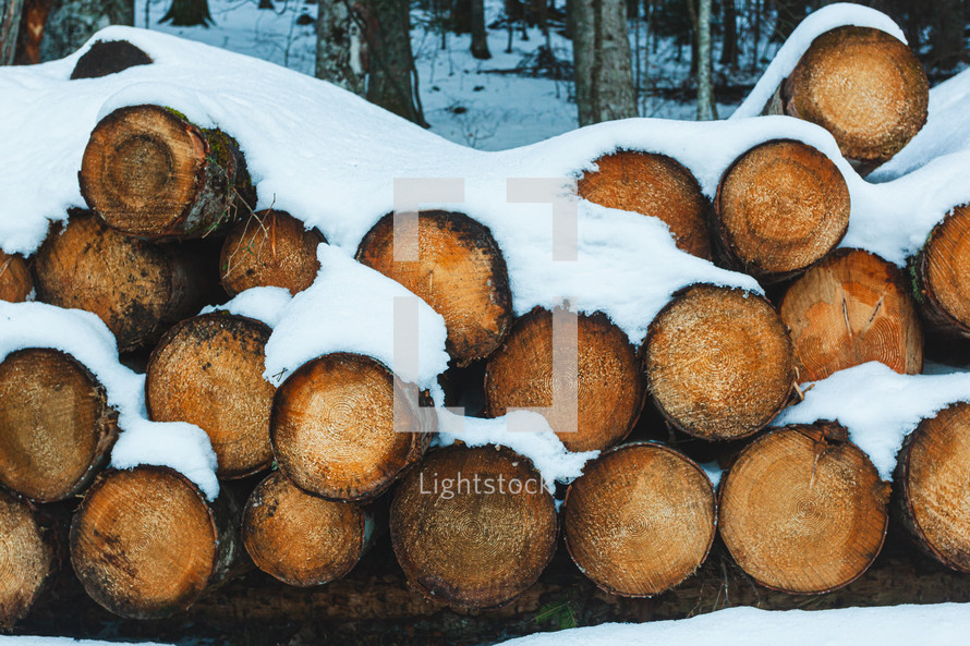 Logs of wood cut and stacked in the mountains under the snow.