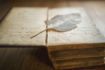 a very old Bible and pressed leaf