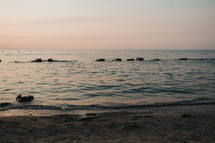 a still lake at sunset