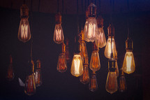 Edison Light bulbs