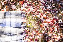 a blanket in the grass on fall leaves 