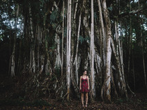 A woman stands near an enormous tree in the forest.